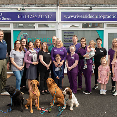 Animal Chiropractor Scotland