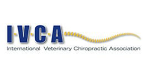 Animal Chiropractor Scotland